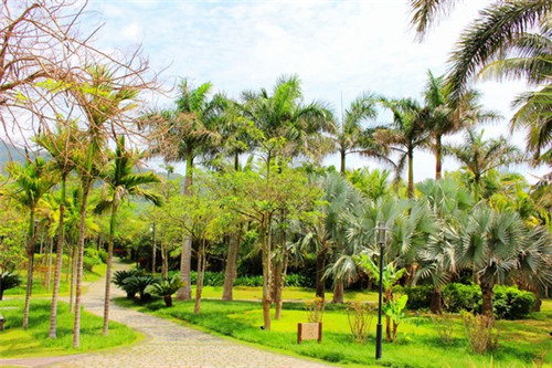 傅雷教育儿子生活的片段