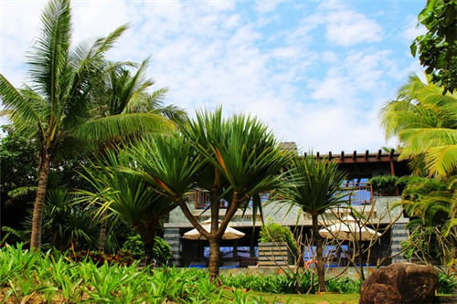 青龙县暑期适合学生去的地方(青龙县城附近景区)