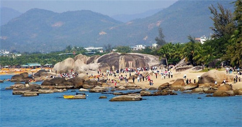 仙人牚多久浇一次水(仙人类植物多久浇一次水)