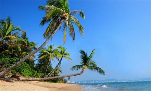 玄关墙什么颜色最旺宅(玄关墙颜色选择)