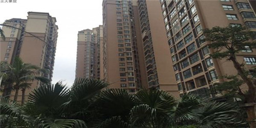 办公室门外放什么最旺，办公室门口外放什么植物招财