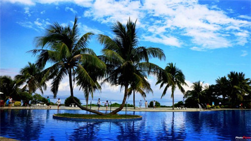 窗台辟邪放什么好看，窗户辟邪