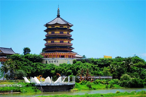 贵州醇景区旅游大概多少费用(贵州醇景区位置)