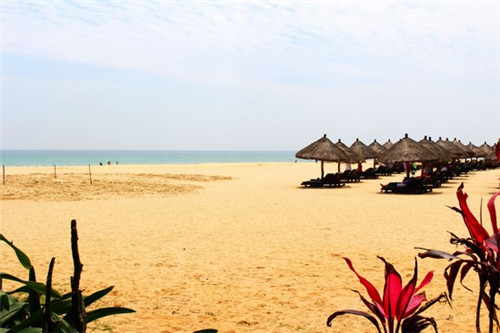 家里客厅挂什么最旺(家里客厅挂什么画吉祥)