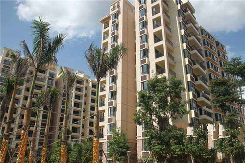 糜子和小米的区别，糜子和小米哪个营养价值高