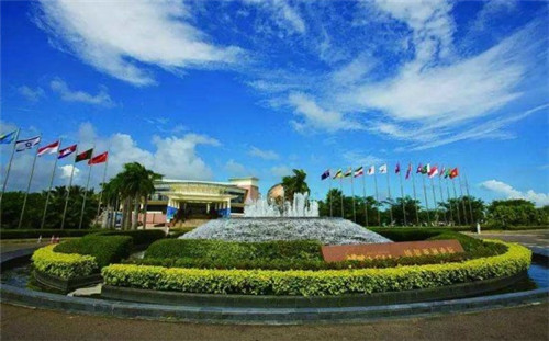 怎样煮冷冻水饺(怎样煮冷冻水饺窍门)