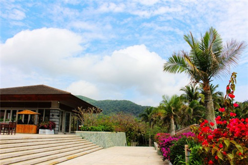 陈皮春天过夜能喝吗，陈皮春天过夜能喝吗百度百科