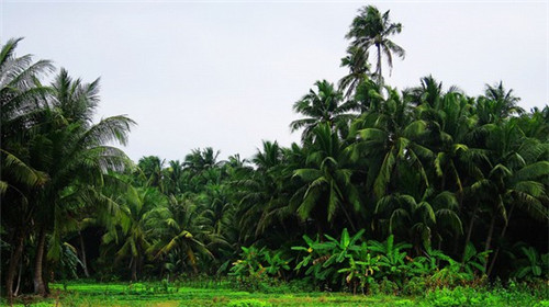 给孩子说一句鼓励的话，给孩子说一段鼓励的话