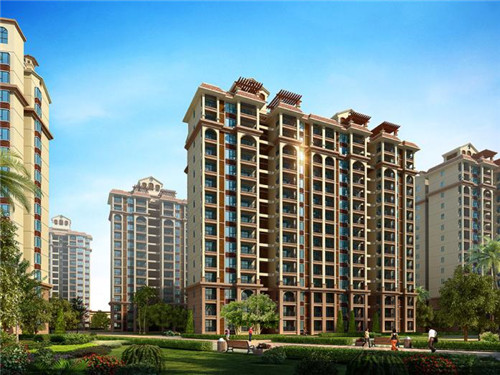 冬油菜多久浇一次水(冬油菜什么时候移栽最好)