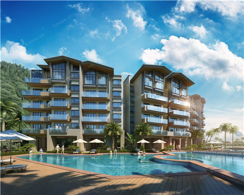 诺丽果泡水喝功效，诺丽果泡水喝功效和作用