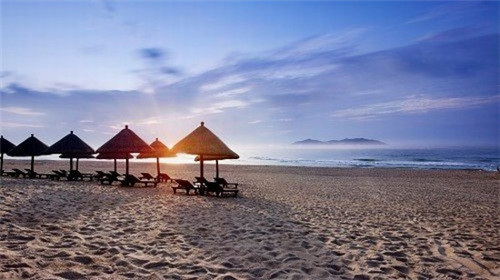 扦插什么花最旺，扦插用什么花盆