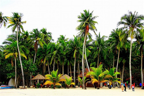 鸡旦能过夜吗能吃吗(鸡蛋过夜能吃吗放冰箱)