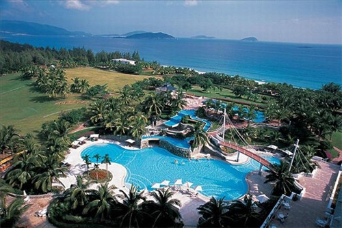 家里养什么植物最旺财招财，家里养什么植物比较招财