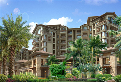 冬天水栽什么最旺财运(适合冬天水养的植物)