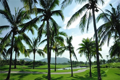 写风景的优美句子，写风景的优美句子100字